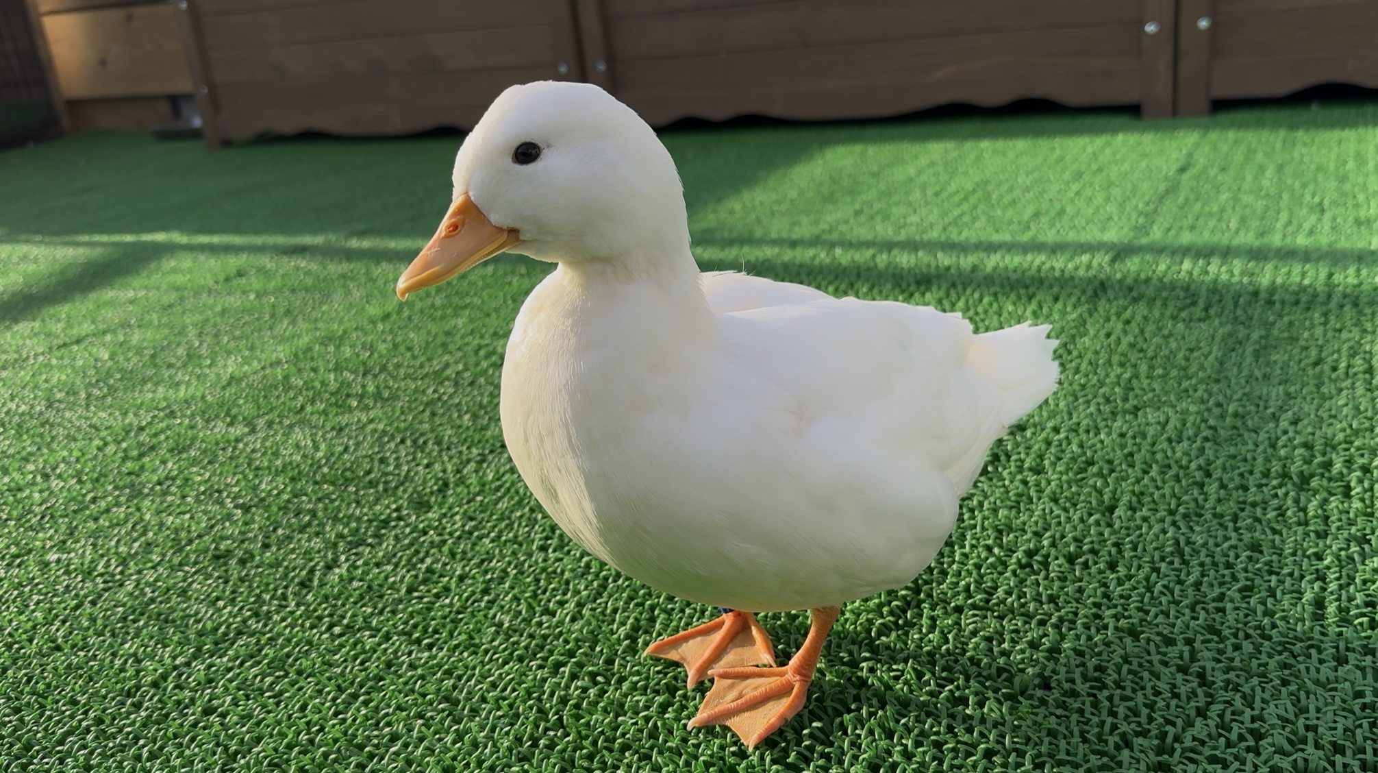 アクアパーク川越の体験イメージ
